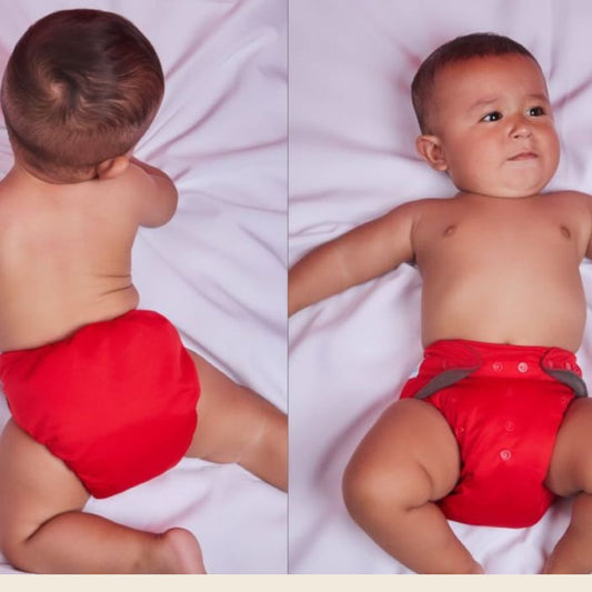 5 pañales ecológicos doble riel de bambú 4-16 kgs lisos + 5 insertos de bambú charcoal